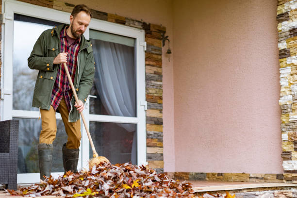 Best Basement Cleanout Services  in Valinda, CA